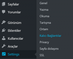 Kalıcı Bağlantıları Ayarlama
