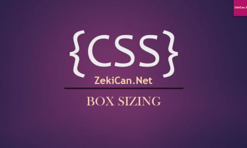 CSS kodları Nasıl kullanılır