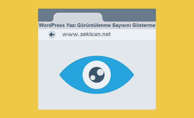 WordPresste Yazının Görüntürenleme Sayısını gösterme
