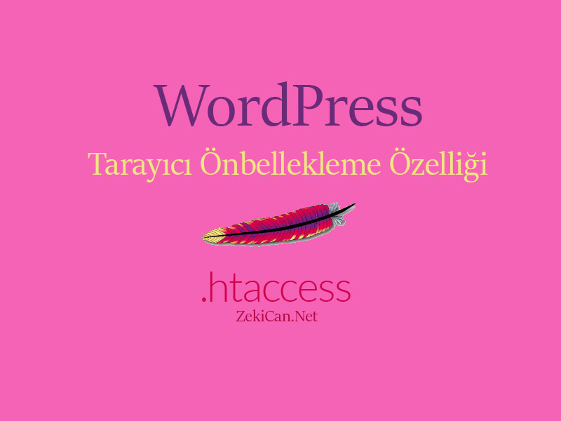 Tarayıcı Ön Bellekleme Özelleği