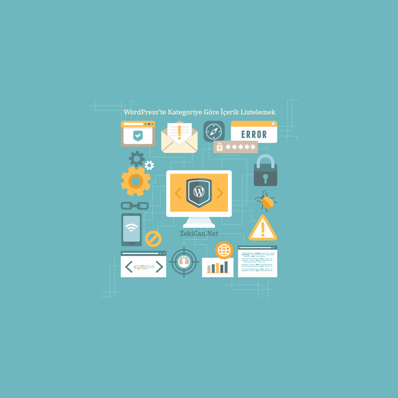 WordPress-kategori-alanlari-olusturma
