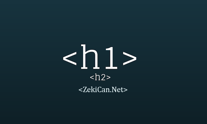 h1 etiketi kullanımı