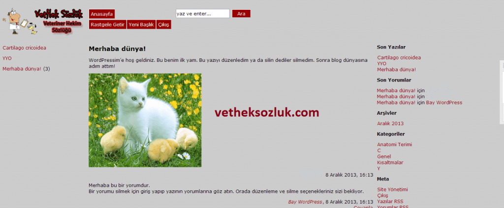 Veteriner Hekim Terimler Sözlüğü İlk Deneme