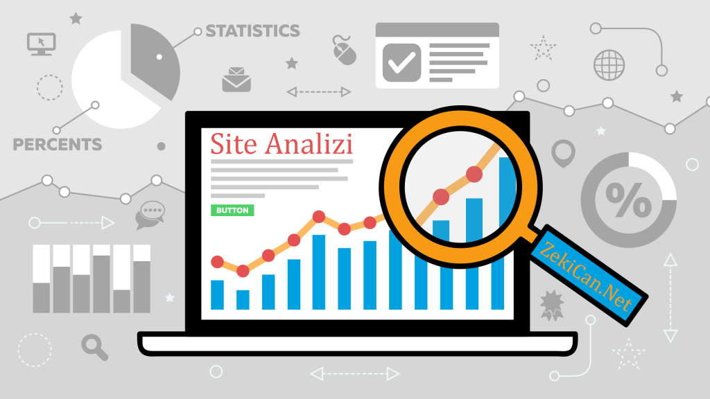 Web Site Analizi