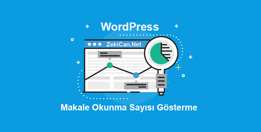 WordPress Makale Okunma Sayısını Gösterme Eklentisiz
