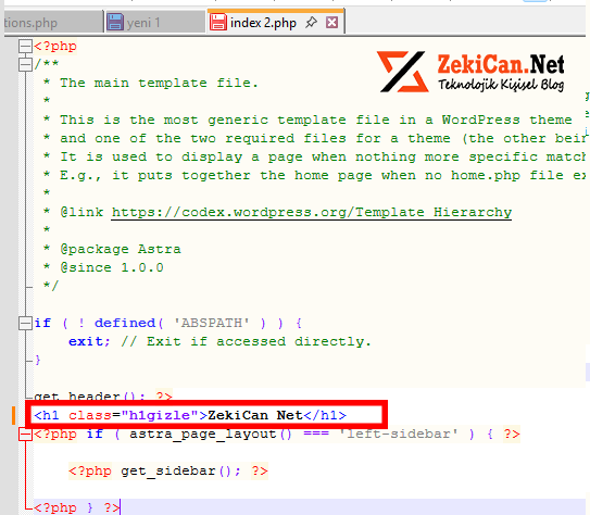 Web sitesine H1 etiketi ekleme