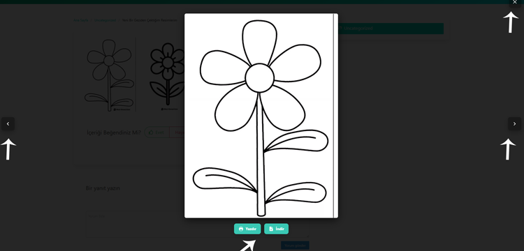 Gallery Control Buttons Nedir?
