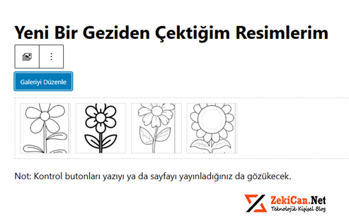 gallery-control-buttons-wordpress-eklentisi-blog